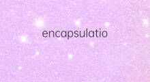 encapsulation是什么意思 encapsulation的中文翻译、读音、例句