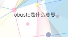 robusto是什么意思 robusto的中文翻译、读音、例句