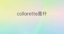collarette是什么意思 collarette的中文翻译、读音、例句