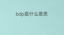 bdp是什么意思 bdp的中文翻译、读音、例句