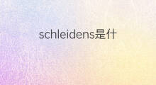 schleidens是什么意思 schleidens的中文翻译、读音、例句