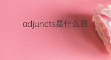 adjuncts是什么意思 adjuncts的中文翻译、读音、例句
