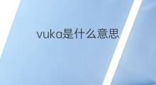 vuka是什么意思 vuka的中文翻译、读音、例句
