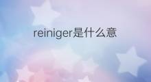 reiniger是什么意思 reiniger的中文翻译、读音、例句