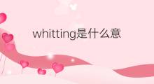 whitting是什么意思 whitting的中文翻译、读音、例句