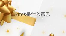 kites是什么意思 kites的中文翻译、读音、例句