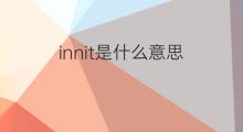 innit是什么意思 innit的中文翻译、读音、例句
