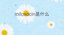 miloxacin是什么意思 miloxacin的中文翻译、读音、例句