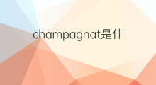 champagnat是什么意思 champagnat的中文翻译、读音、例句