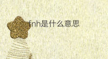 fnh是什么意思 fnh的中文翻译、读音、例句