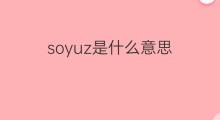 soyuz是什么意思 soyuz的中文翻译、读音、例句