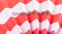 coypus是什么意思 coypus的中文翻译、读音、例句