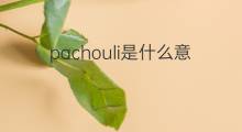pachouli是什么意思 pachouli的中文翻译、读音、例句