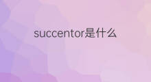 succentor是什么意思 succentor的中文翻译、读音、例句
