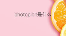 photopion是什么意思 photopion的中文翻译、读音、例句