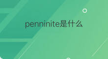 penninite是什么意思 penninite的中文翻译、读音、例句