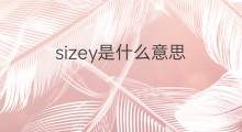 sizey是什么意思 sizey的中文翻译、读音、例句