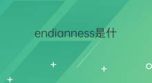 endianness是什么意思 endianness的中文翻译、读音、例句