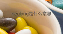 neuking是什么意思 neuking的中文翻译、读音、例句