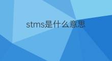 stms是什么意思 stms的中文翻译、读音、例句