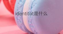 identitat是什么意思 identitat的中文翻译、读音、例句
