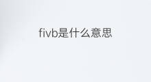 fivb是什么意思 fivb的中文翻译、读音、例句