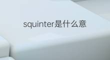 squinter是什么意思 squinter的中文翻译、读音、例句