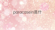 paracasein是什么意思 paracasein的中文翻译、读音、例句