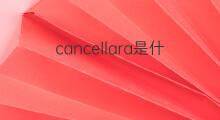 cancellara是什么意思 cancellara的中文翻译、读音、例句