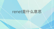 renet是什么意思 renet的中文翻译、读音、例句