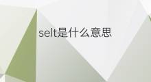 selt是什么意思 selt的中文翻译、读音、例句
