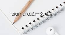 tsumura是什么意思 tsumura的中文翻译、读音、例句