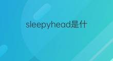 sleepyhead是什么意思 sleepyhead的中文翻译、读音、例句