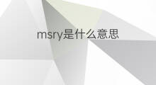 msry是什么意思 msry的中文翻译、读音、例句