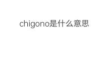 chigono是什么意思 chigono的中文翻译、读音、例句