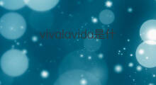 vivalavida是什么意思 vivalavida的中文翻译、读音、例句