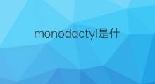 monodactyl是什么意思 monodactyl的中文翻译、读音、例句