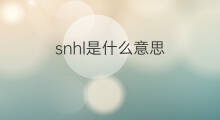 snhl是什么意思 snhl的中文翻译、读音、例句