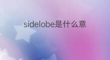 sidelobe是什么意思 sidelobe的中文翻译、读音、例句