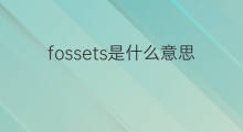 fossets是什么意思 fossets的中文翻译、读音、例句