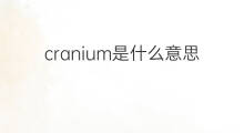 cranium是什么意思 cranium的中文翻译、读音、例句