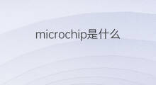 microchip是什么意思 microchip的中文翻译、读音、例句