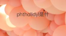 phthalidyl是什么意思 phthalidyl的中文翻译、读音、例句