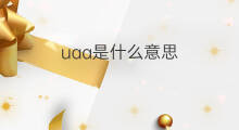 uaa是什么意思 uaa的中文翻译、读音、例句