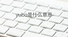 yuba是什么意思 yuba的中文翻译、读音、例句