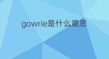 gowrie是什么意思 gowrie的中文翻译、读音、例句