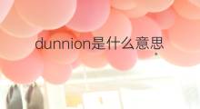 dunnion是什么意思 dunnion的中文翻译、读音、例句