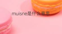 muisne是什么意思 muisne的中文翻译、读音、例句