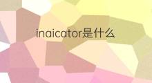 inaicator是什么意思 inaicator的中文翻译、读音、例句