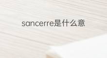 sancerre是什么意思 sancerre的中文翻译、读音、例句